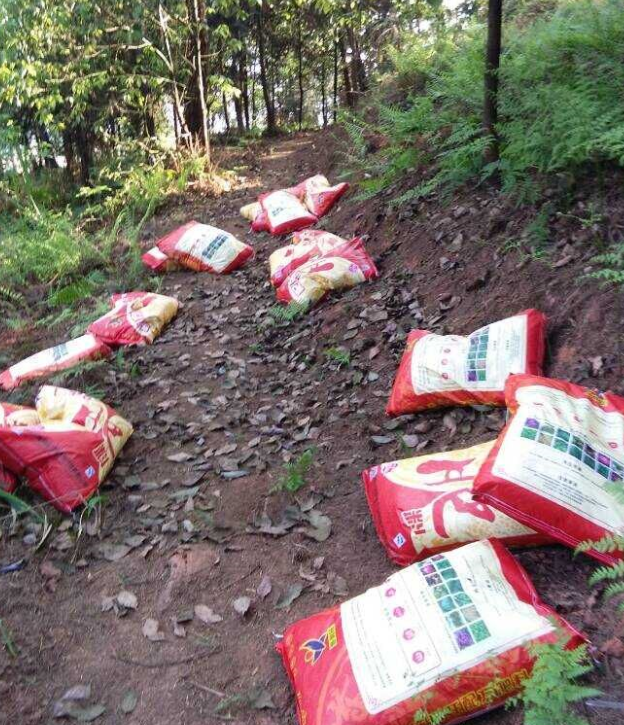 石城山工区施底肥，苗木修剪及栽植.png